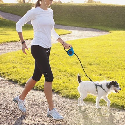 Pet Walking Leash